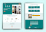 build or rebuild wordpress website for business growth